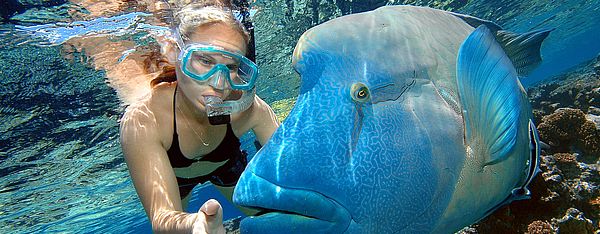 Australiens Ostküste und Red Centre Australiens Ostküste und Red Centre