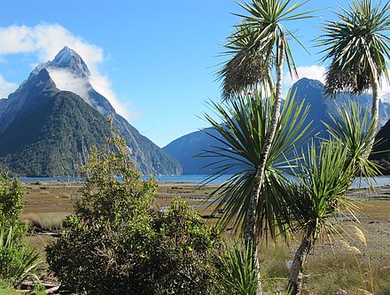 Neuseeland - das schönste Ende der Welt